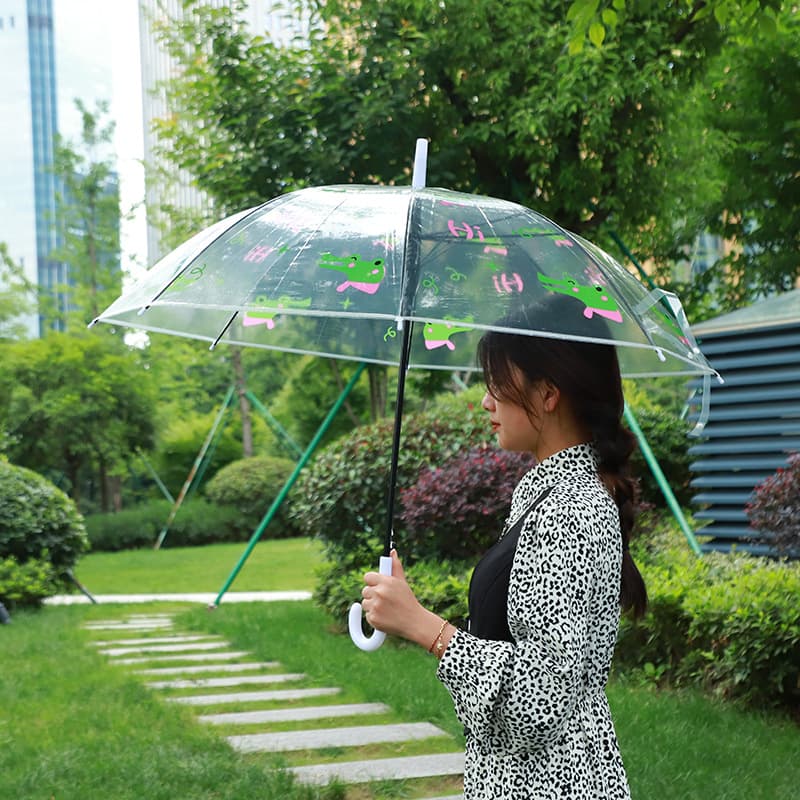 Cartoon children's fresh umbrella with animals, Korean style, for beloved 8
