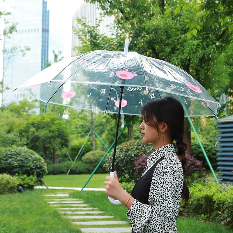 Cartoon children's fresh umbrella with animals, Korean style, for beloved 9