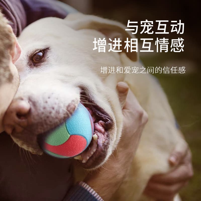 Toy, rubber bouncy ball for training, getting rid of boredom, pet 2