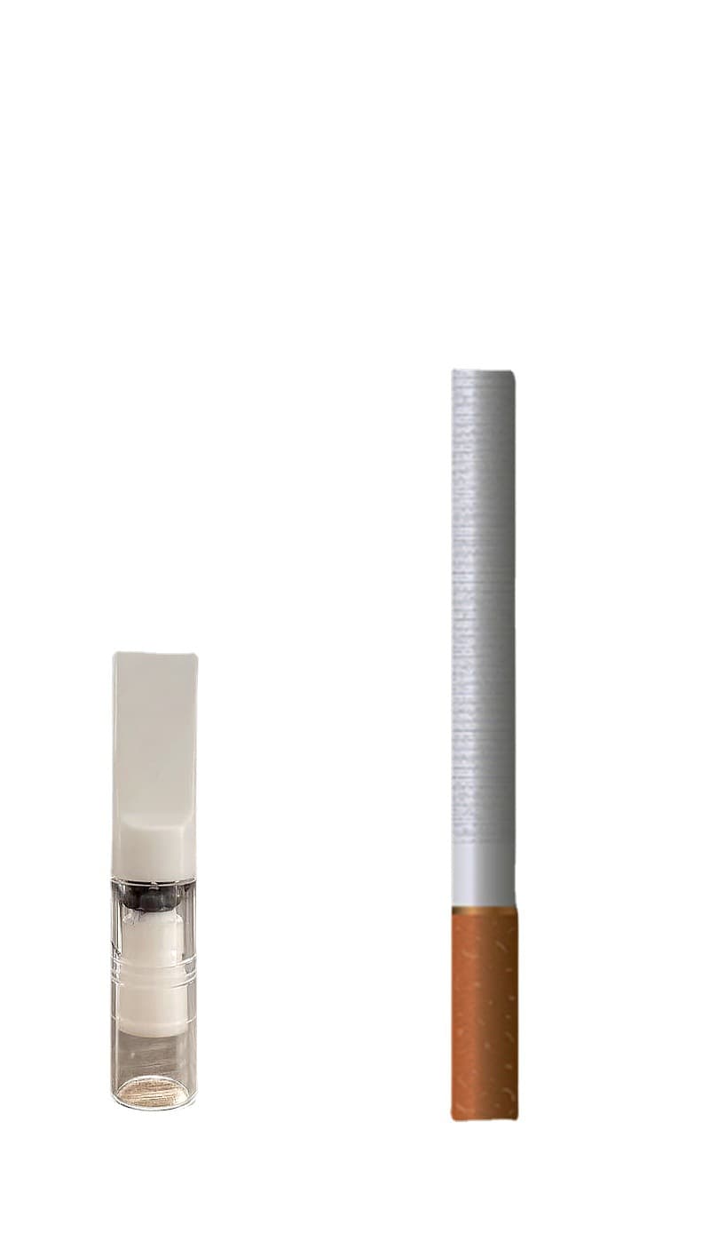 Disposable universal cigarette holder, perfume, filter 5
