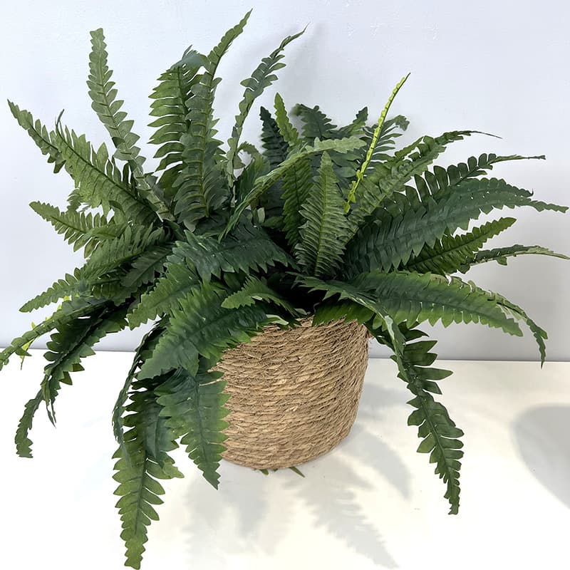 Simulation fern plant 28 Persian grass artificial green plants small handle bouquet Persian plant wall decorative plastic fern grass 4