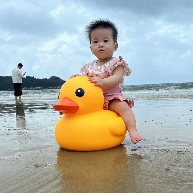 B.Duck, big yellow duck, swimming pool for amusement park play in water, toy, Amazon 3