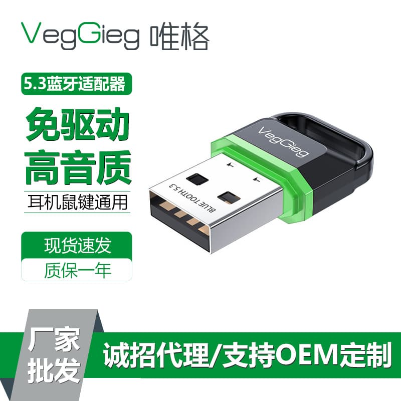 Weigl USB Bluetooth 5.3 Wireless Adapter 2
