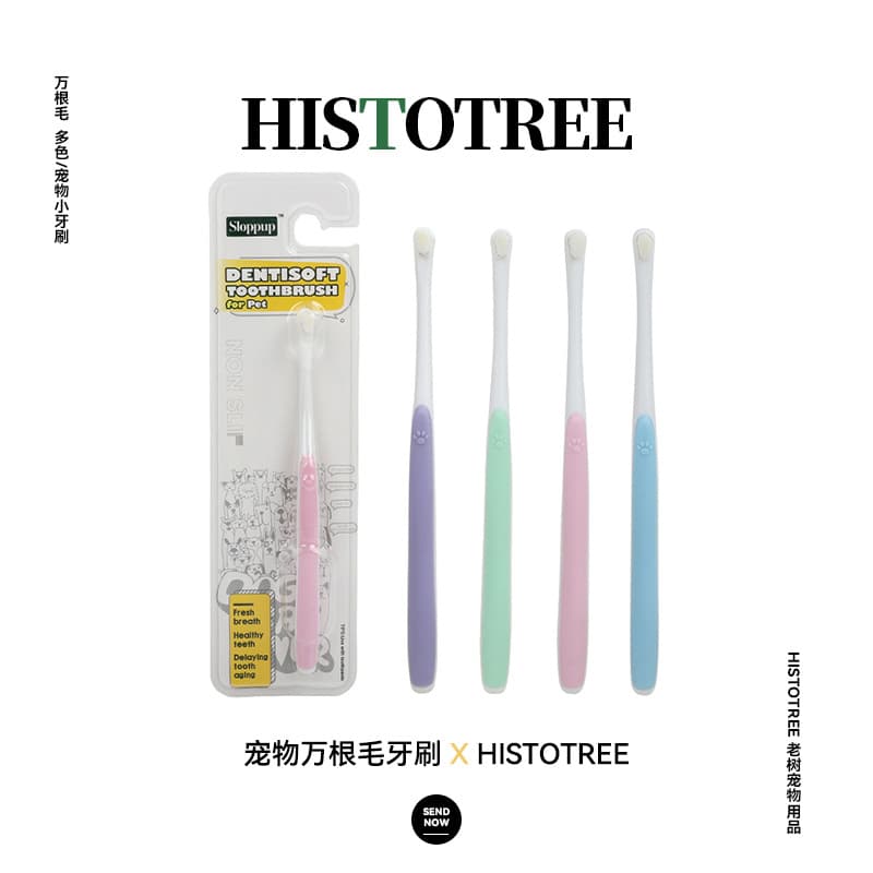 Plastic toothbrush, oral care