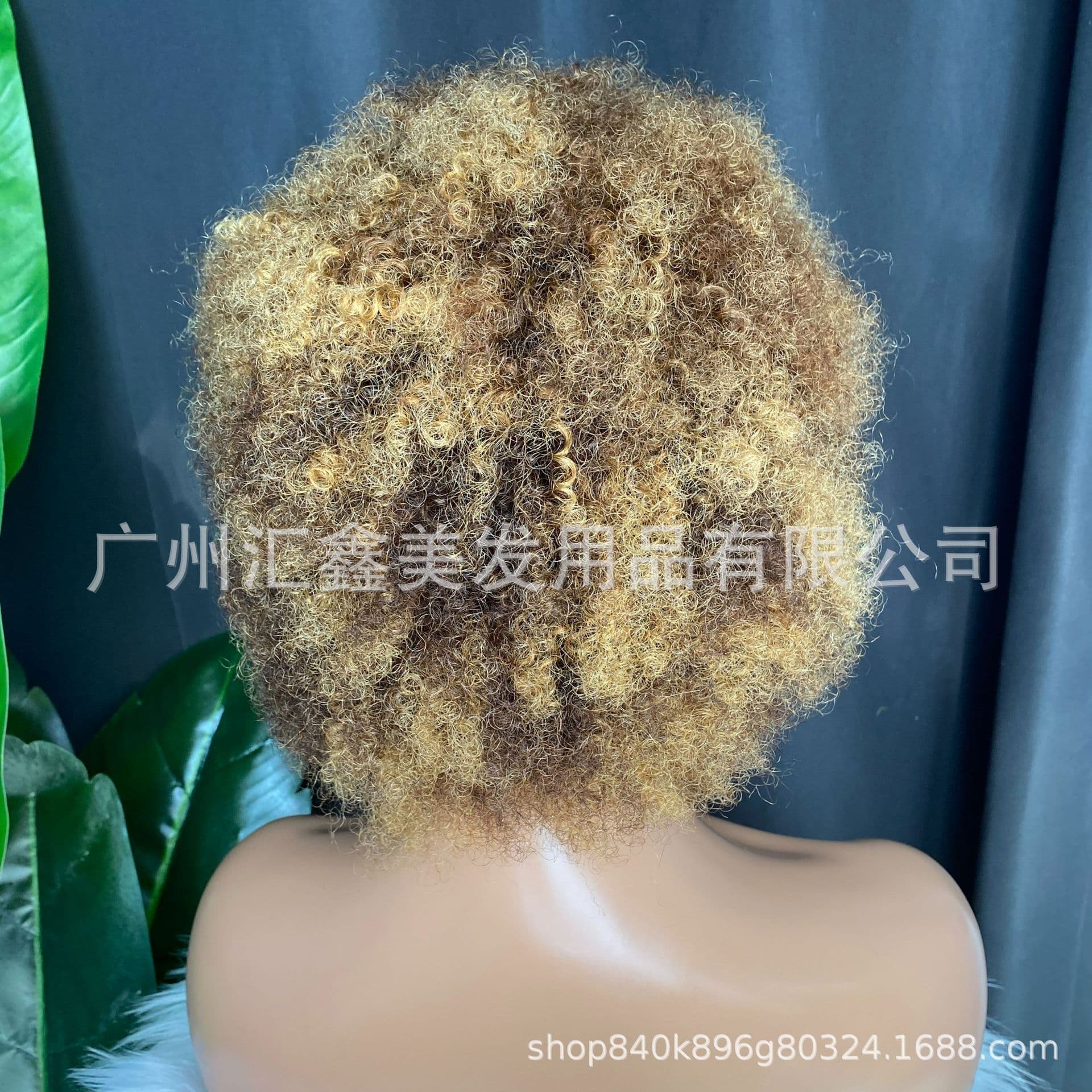 Pixie Cut Wig 8 inch Human Hair 100g 4