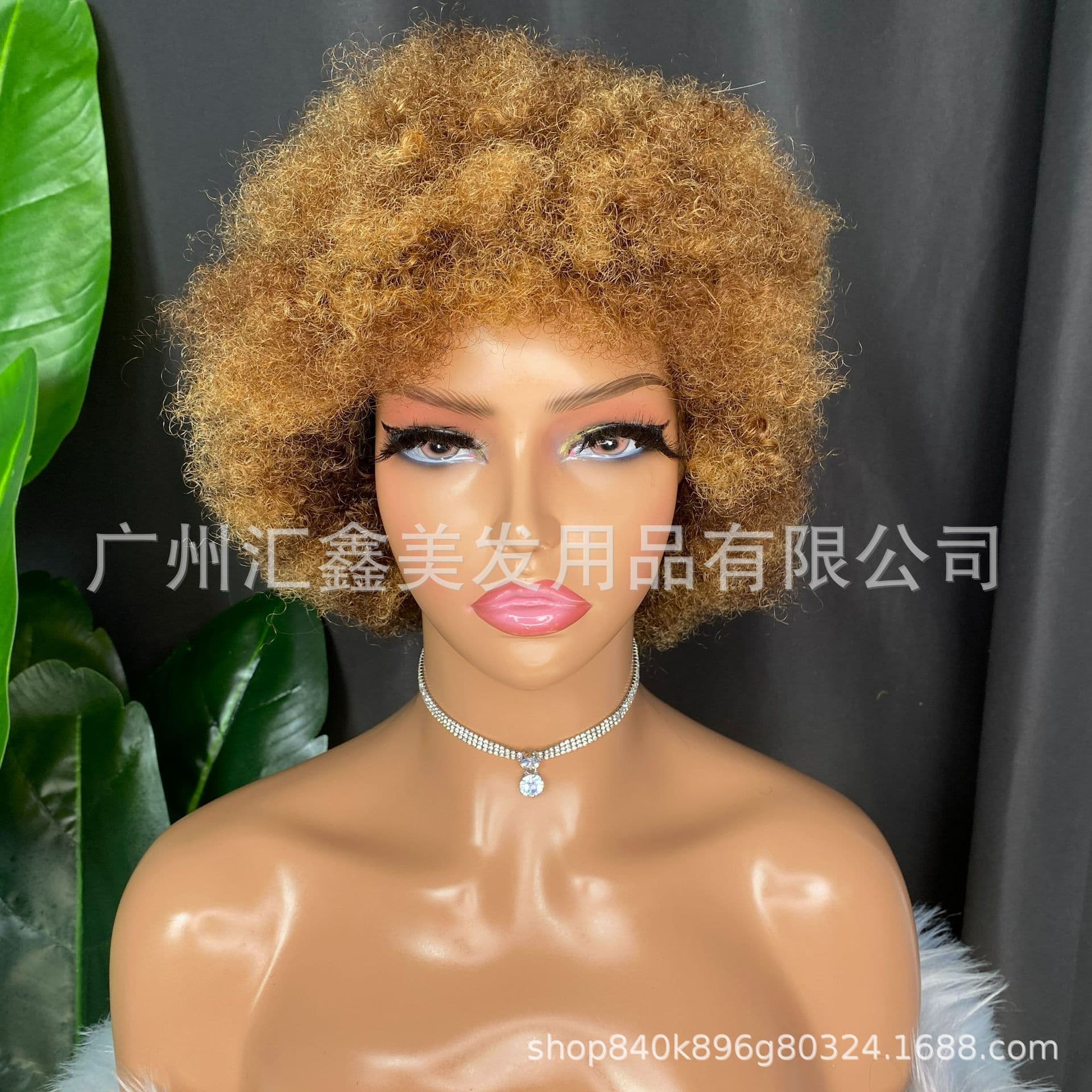Pixie Cut Wig 8 inch Human Hair 100g 1