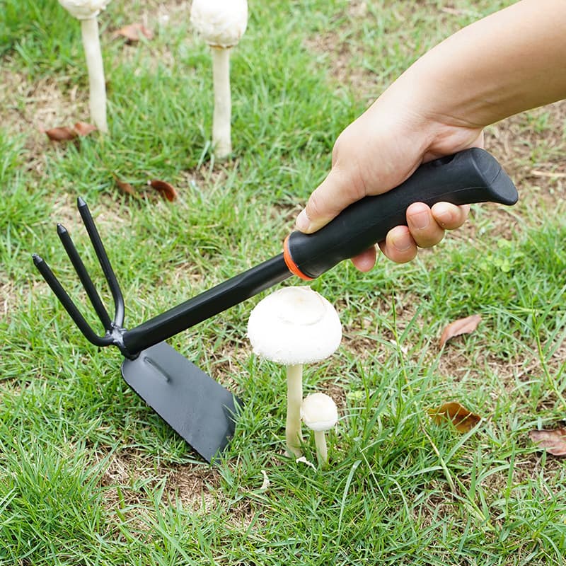 Gardening three -piece set of flowers and planting vegetables, loose soil tool garden iron 锹 锹 3