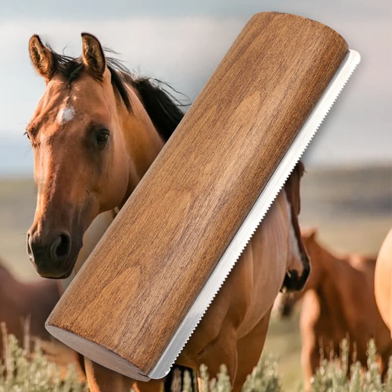 Horse Homing Products wholesale 20 cm Solid Trojan Khan Scraping Horse Cleaning Beauty Brush Malaysia Horse Horse Cleaning Tool 2