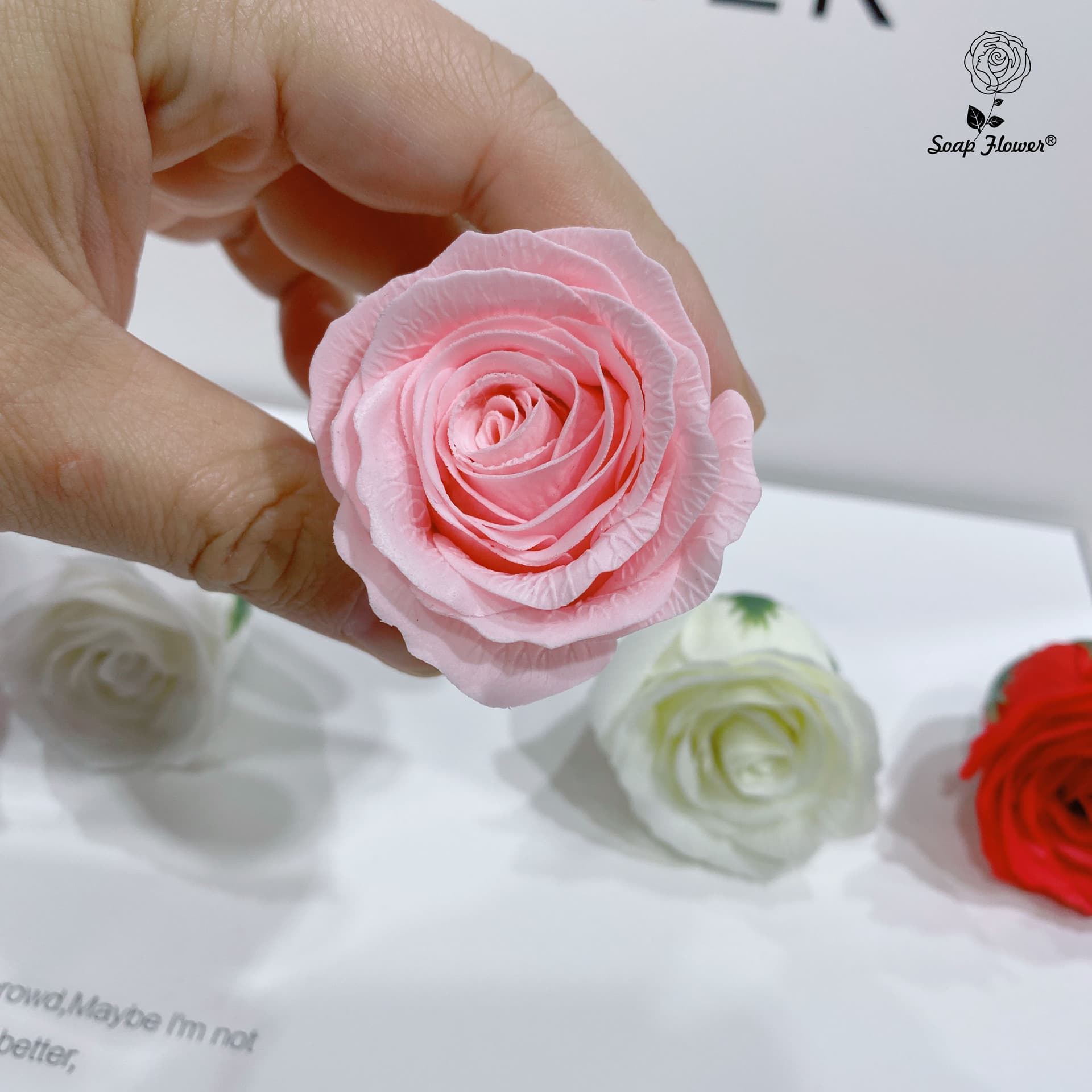 Soap contains rose 1