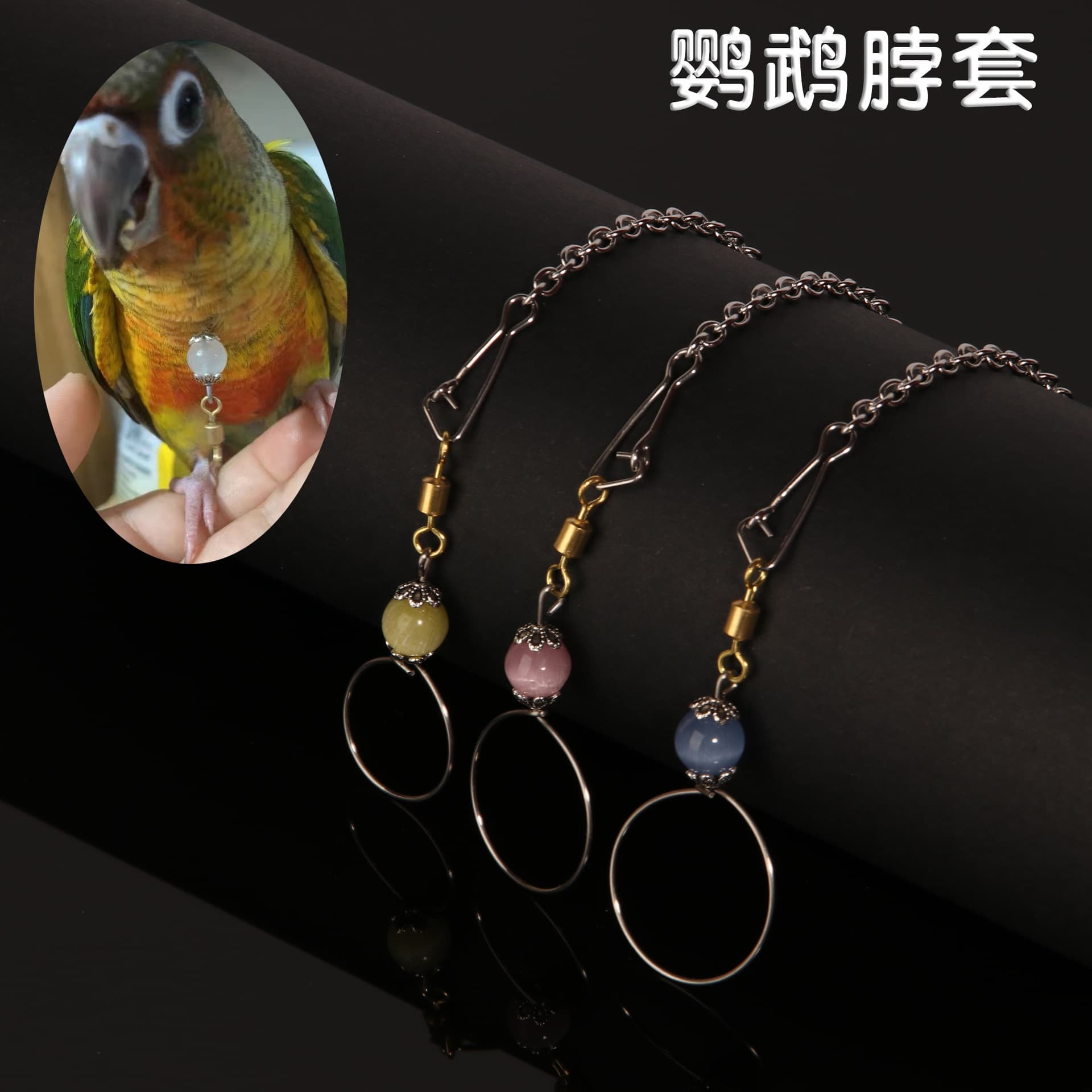Big Tiger Skin Bird Birds Peony Xuan Phoenix Parrot Neck Stainless Steel Bird Chain Bird Training Works 1