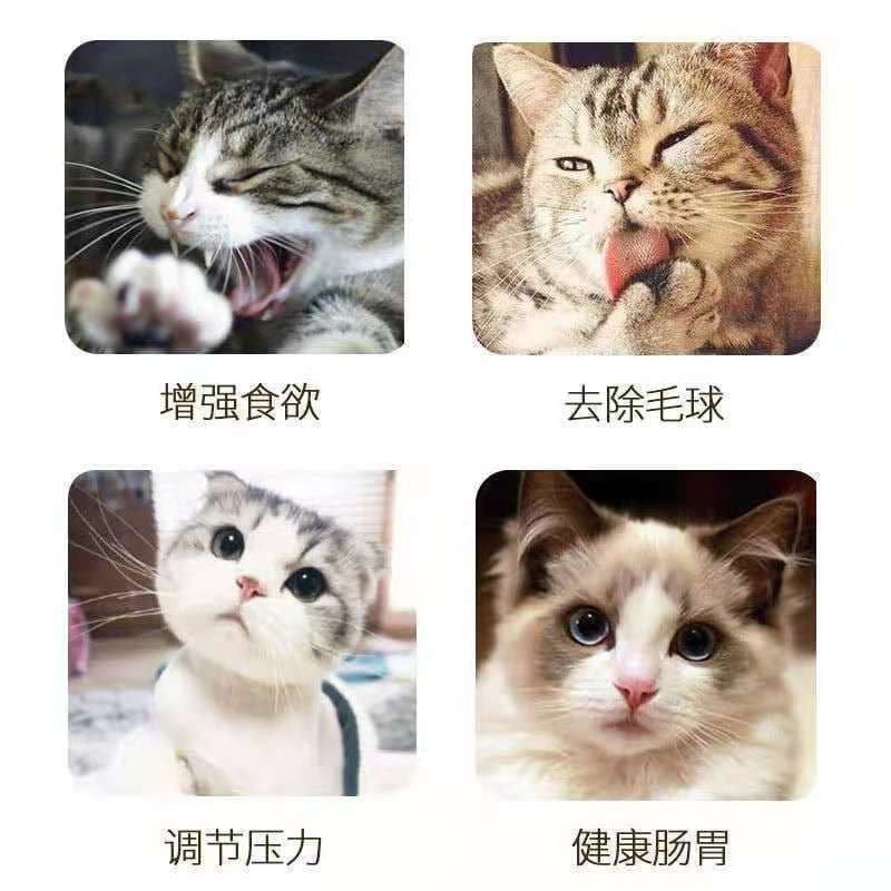 Factory wholesale cat mint powder snacks self -excited cat grass to help meal ball clean oral cat natural bag 4