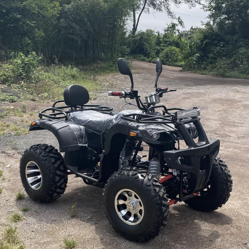 Factory direct selling all-terrain four-wheel drive beach off-road 200-300cc mountain four-wheel ATV adult electric motorcycle 3