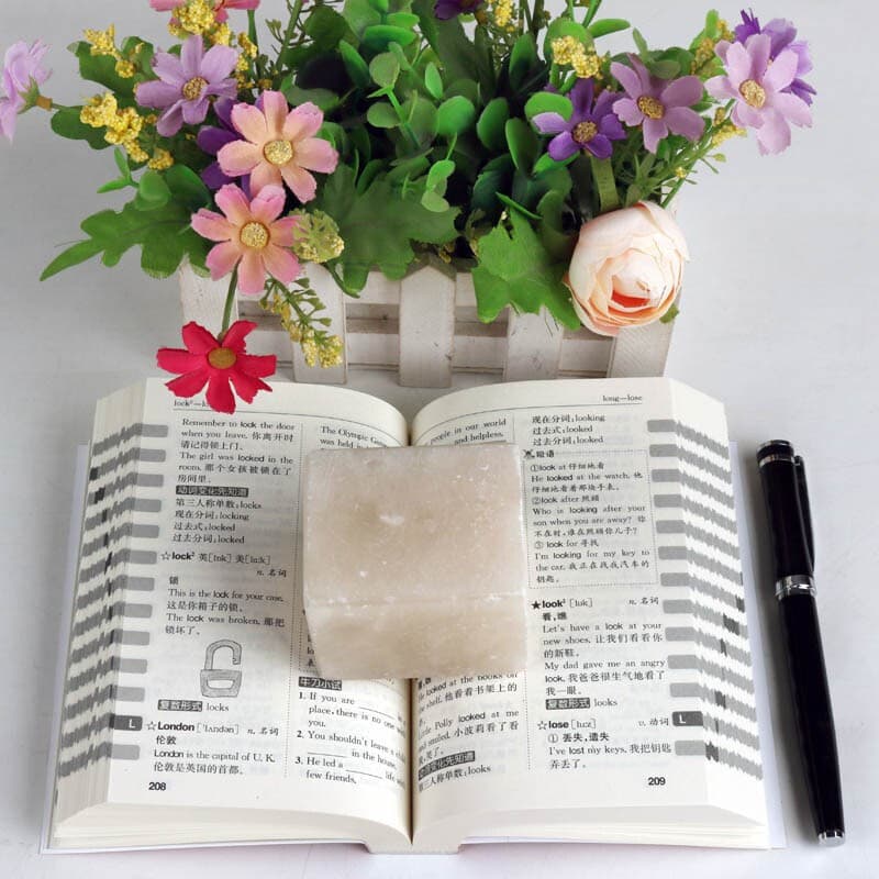 English-Chinese Dictionary for Primary School Students New Edition Chinese-English Dictionary English Dictionary Primary and Secondary School Dictionary Dictionary Reference Book 5