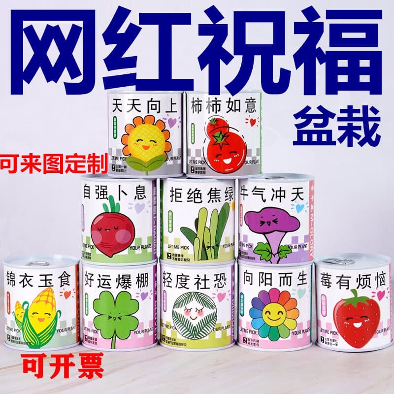Children's Gift Cans Plant Blind Box Desktop Small Potted Primary School Flowers and Green Plants Good Feeding Box 2