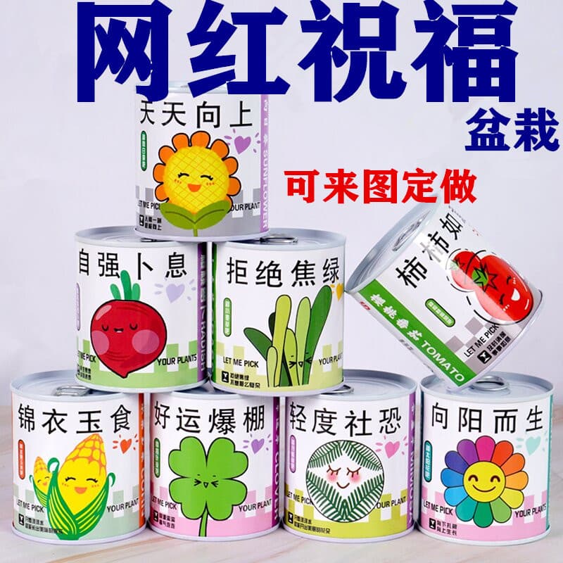 Children's Gift Cans Plant Blind Box Desktop Small Potted Primary School Flowers and Green Plants Good Feeding Box 1