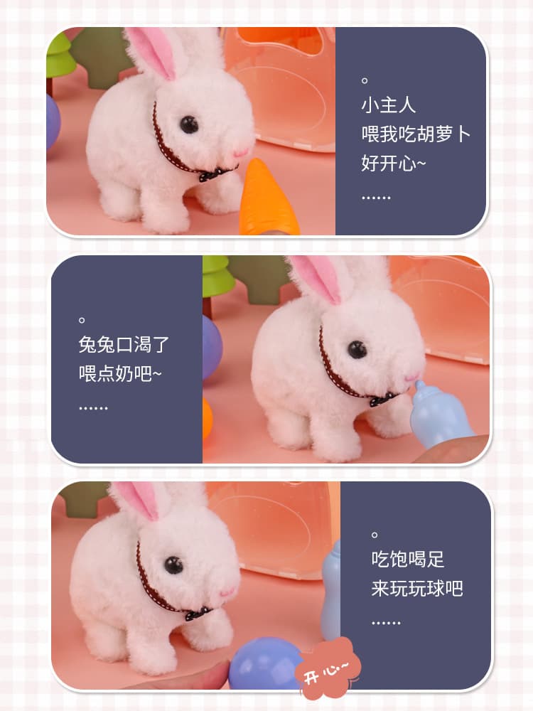 Plush Bunny Walk Sound Toy Pet Rabbit Carrier house play Toy 2