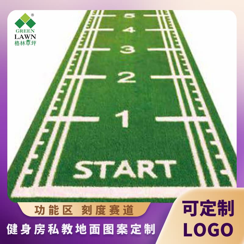 Gym simulation lawn carpet mat scale artificial turf fake lawn GYMGRASS carpet sports mat 2