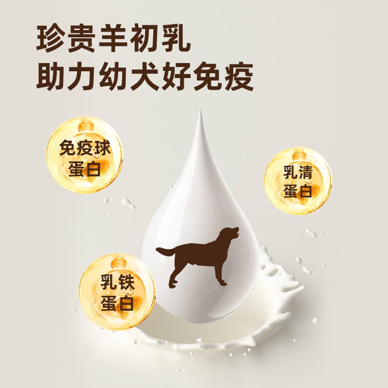 Dog food 40 jin big bag wholesale puppy food adult dog food special grain fresh meat dog food Teddy elderly dog ​​muscle strengthening bones 3