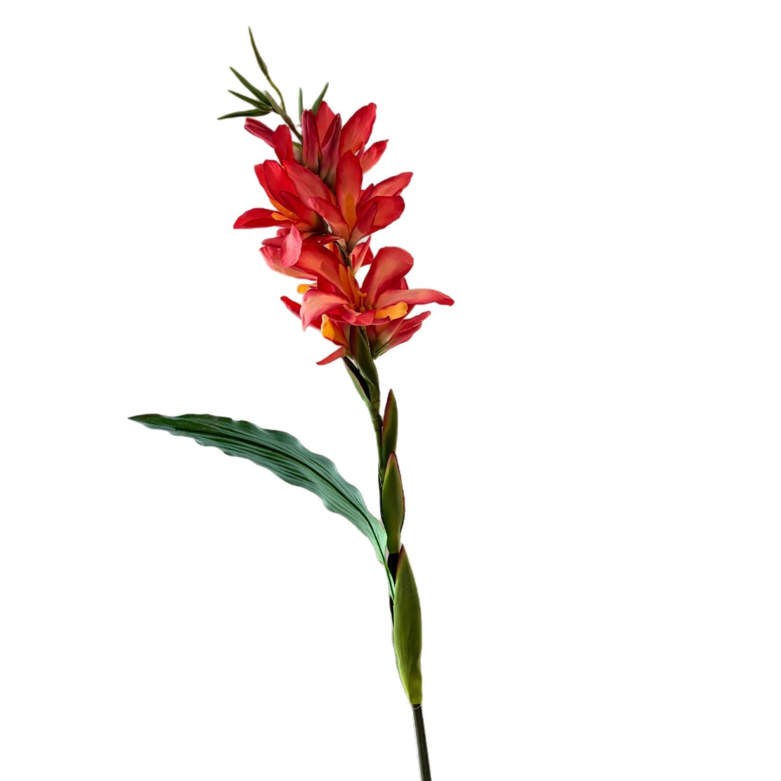 Simulated flowers, tropical plants, canna bananas, wedding decorations, artificial flowers, photography arrangements, wedding arrangements 5