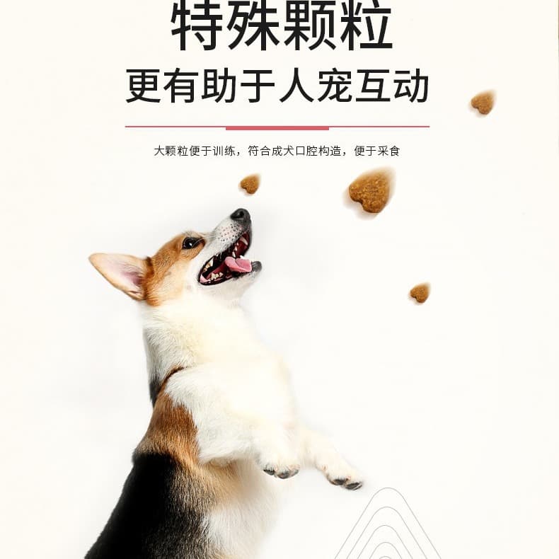 Maddie Guaibole dog food adult dog 40 catties 20kg general-purpose whole dog beef golden retriever puppy medium and large dog food 4