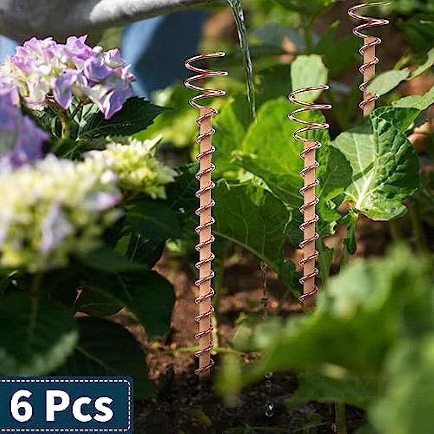 Copper coil antenna plant pile power training garden planting garden plant and vegetable Electroculture 2