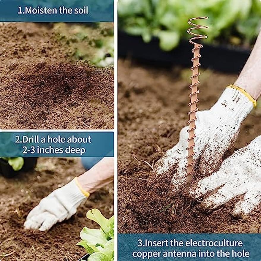 Copper coil antenna plant pile power training garden planting garden plant and vegetable Electroculture 3