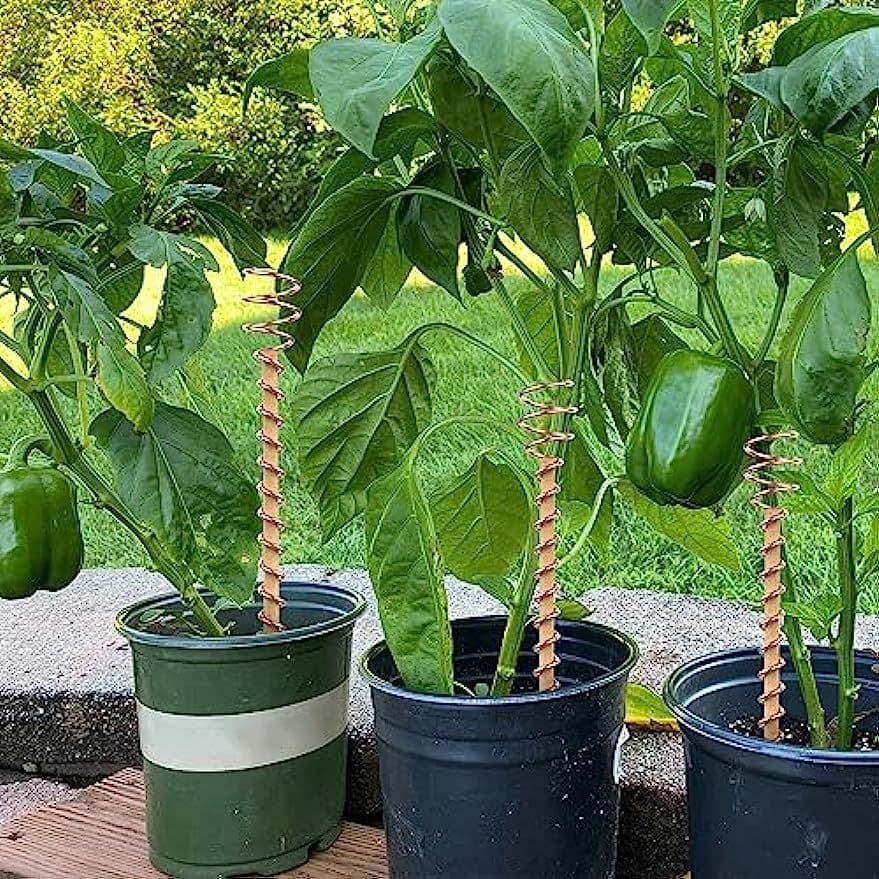 Copper coil antenna plant pile power training garden planting garden plant and vegetable Electroculture 4
