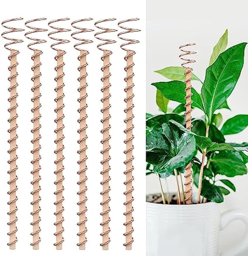 Copper coil antenna plant pile power training garden planting garden plant and vegetable Electroculture 6