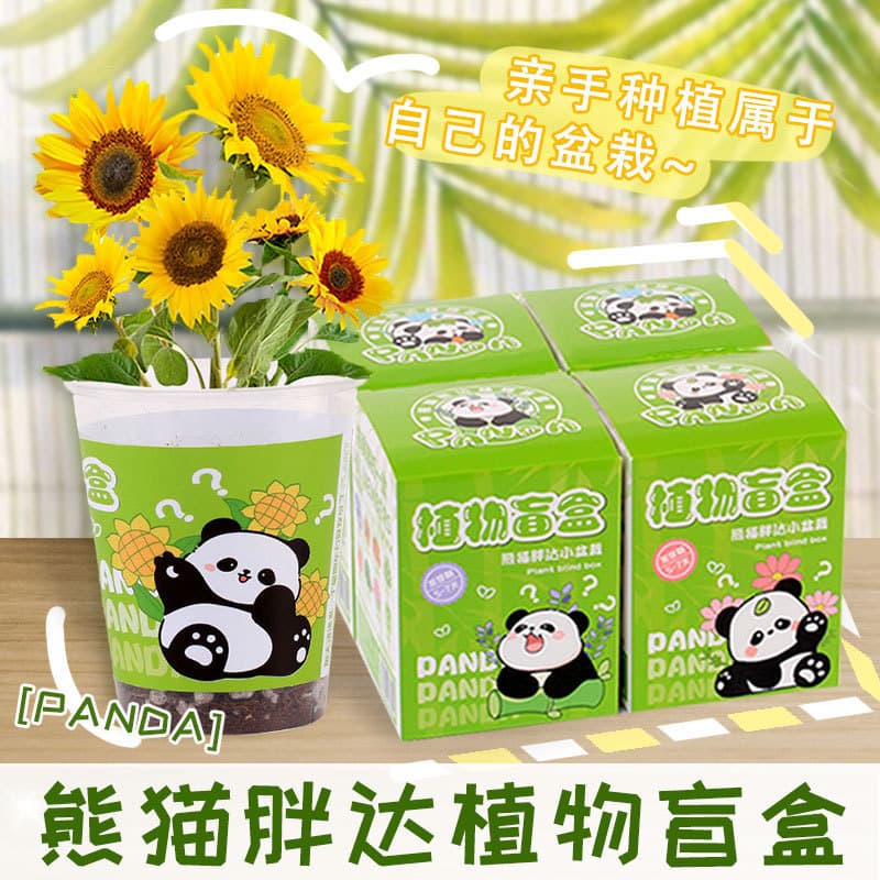 Children's plant blind box small potted kindergarten indoor desktop planting vegetable and flower seeds New Year gift 2
