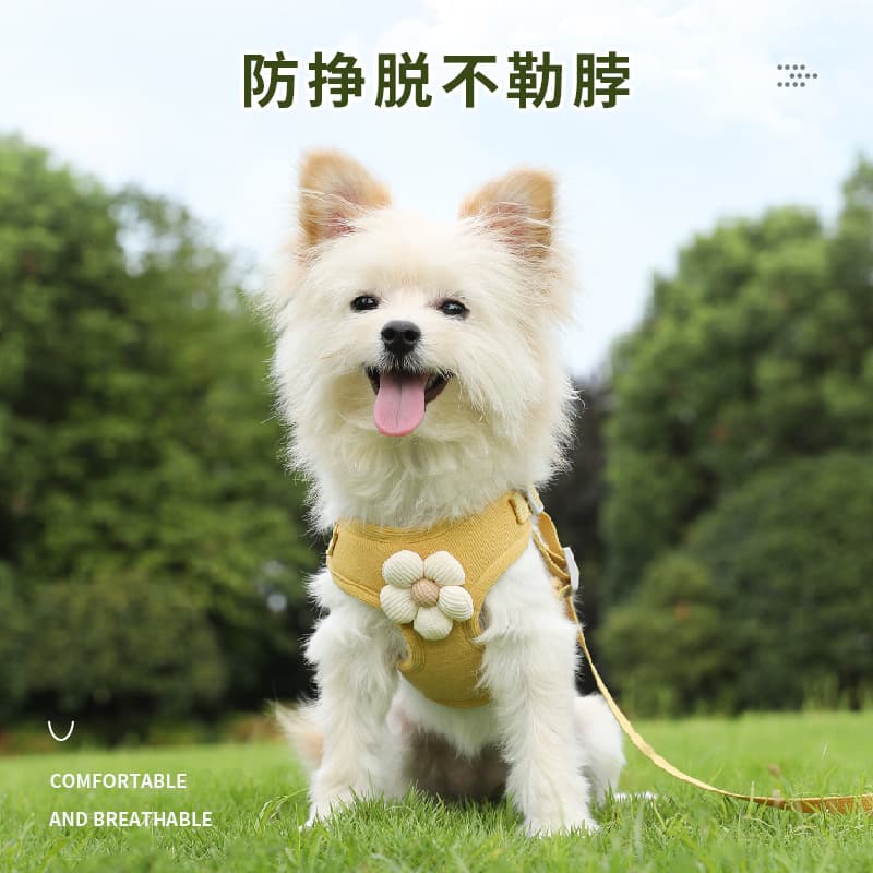 Pet vest traction rope dog cartoon three-dimensional accessories Teddy dog walking rope cat back to prevent breaking away when going out 2