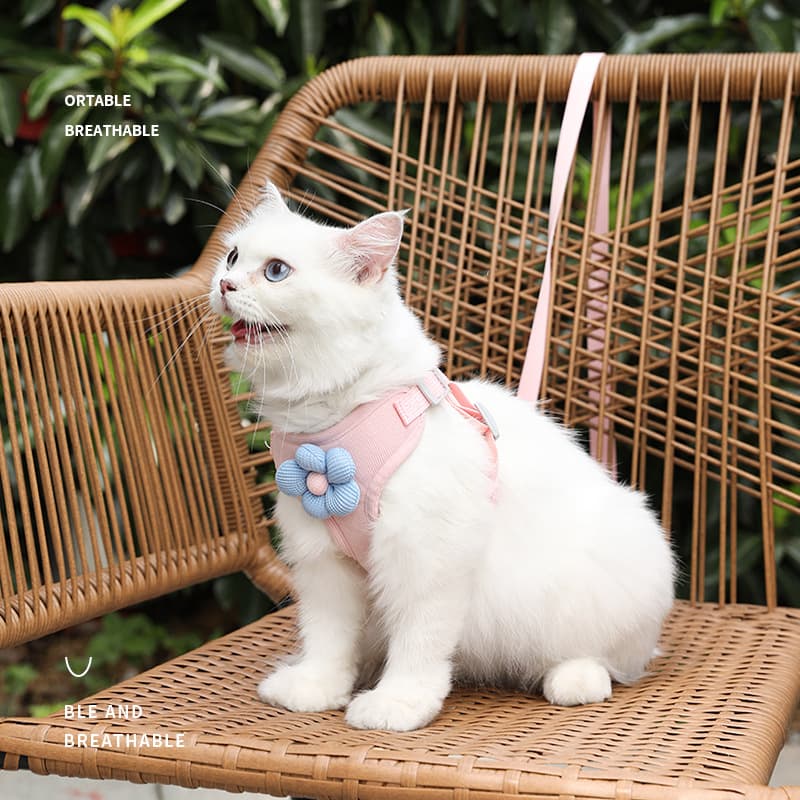Pet vest traction rope dog cartoon three-dimensional accessories Teddy dog walking rope cat back to prevent breaking away when going out 3