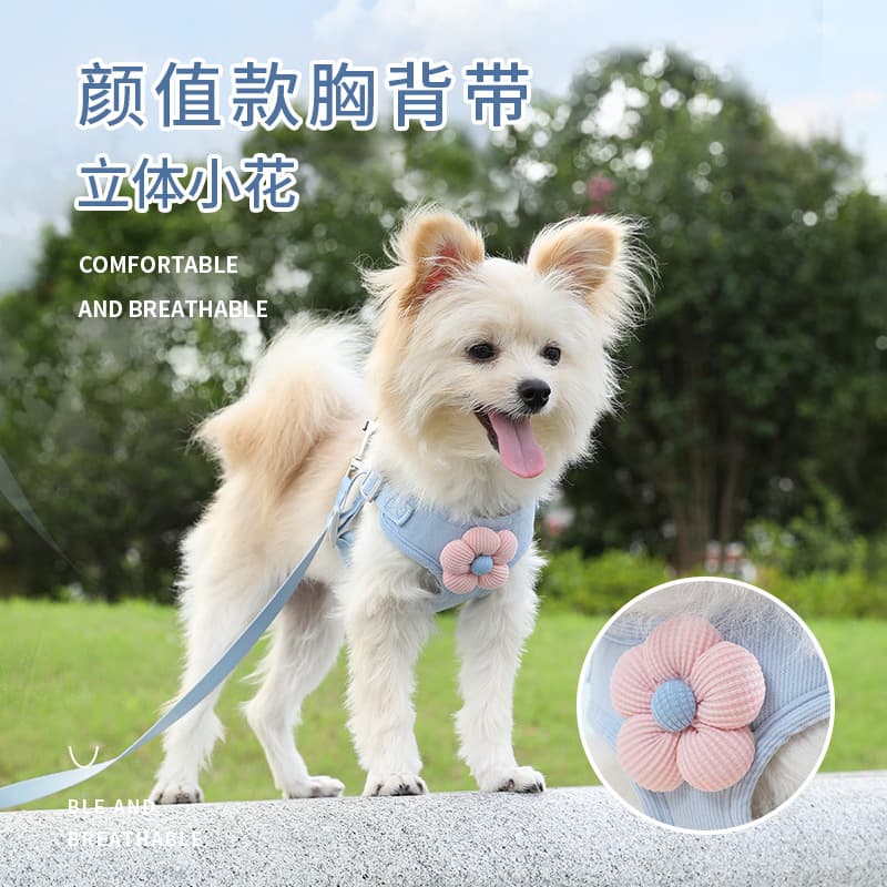 Pet vest traction rope dog cartoon three-dimensional accessories Teddy dog walking rope cat back to prevent breaking away when going out 1