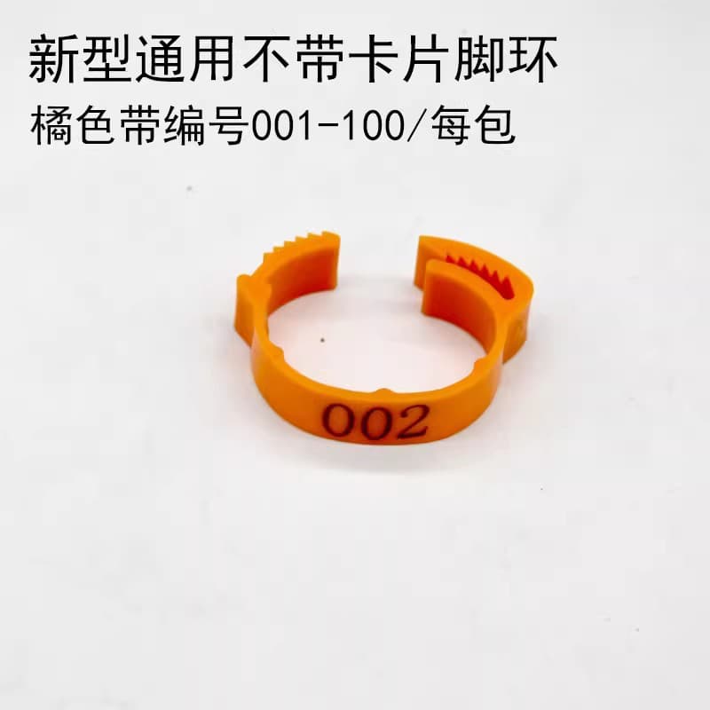 (Cross-border trading), adjustable universal ankle bracelet 4