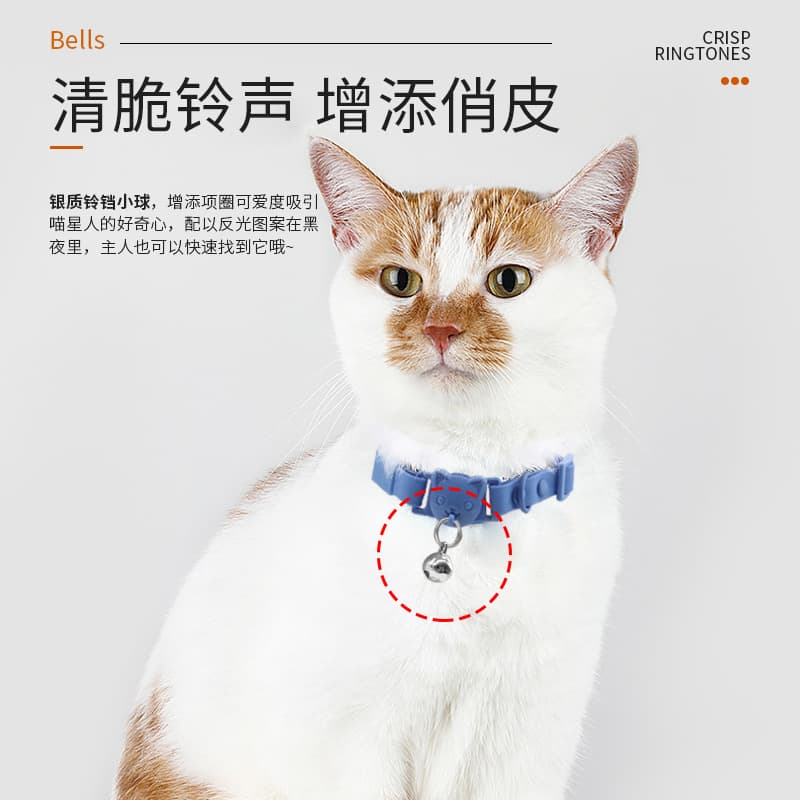 Waterproof choker PVC, adjustable small bell, new collection, pet, cat 4