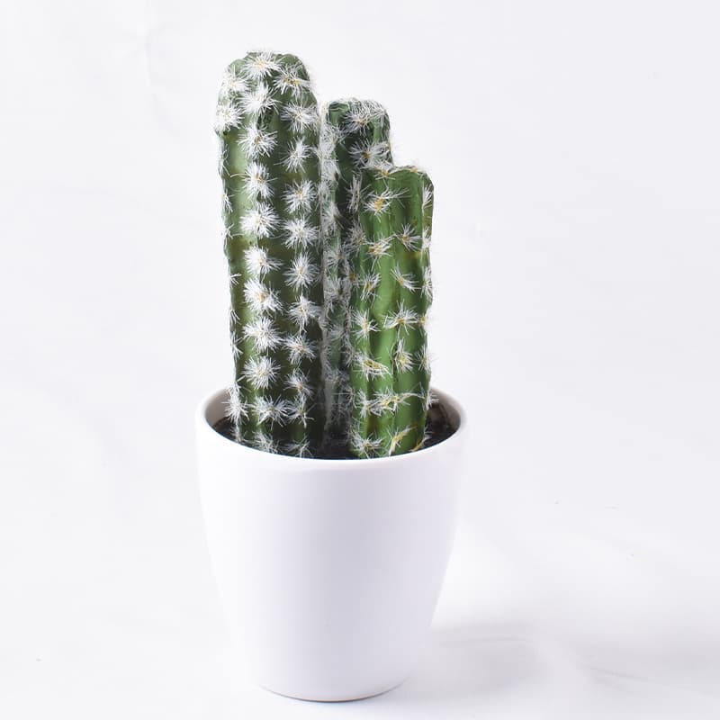 Simulation mini -succulent plant cactus indoor fairy ball bonsai artificial plant simulation flower pots wholesale 2