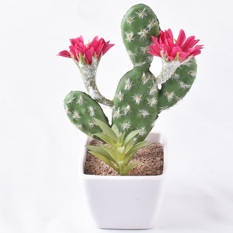 Simulation mini -succulent plant cactus indoor fairy ball bonsai artificial plant simulation flower pots wholesale 3