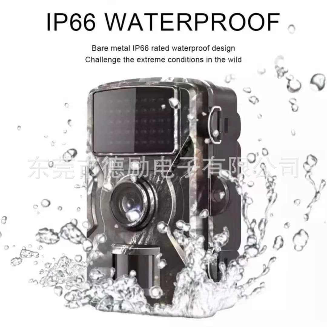 Induction waterproof monitor, CCTV camera, videocamera with animals 2