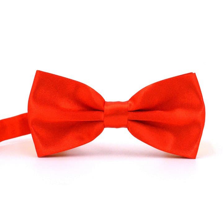 Bow tie, classic suit jacket with bow, (Physicals), Korean style 5
