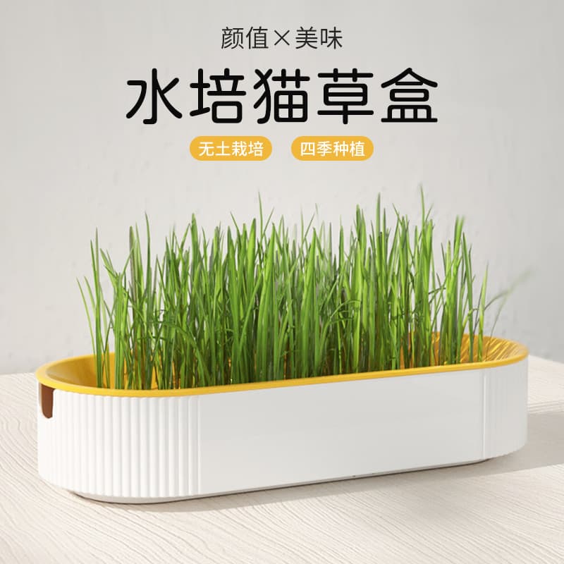 New cross -border direct supply manufacturers wholesale cat snack cat mint planting without earthy hydraulic contrast set cat boxes 3