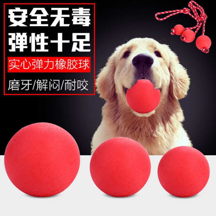 Rubber bouncy ball, toy with rope, can bite, pet
