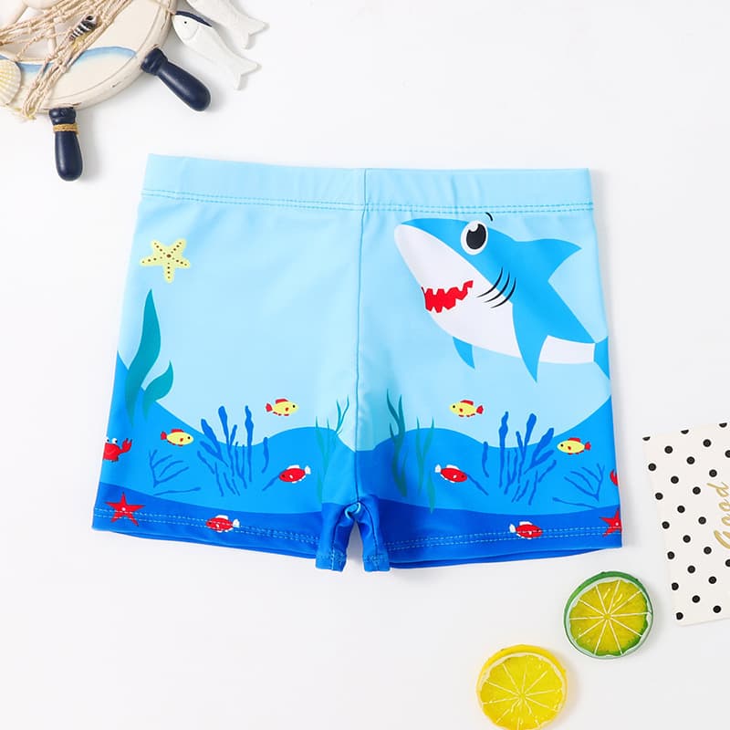 (Cross-border trading), children's trousers for boys, cartoon quick dry swimwear for swimming, for teenagers 2