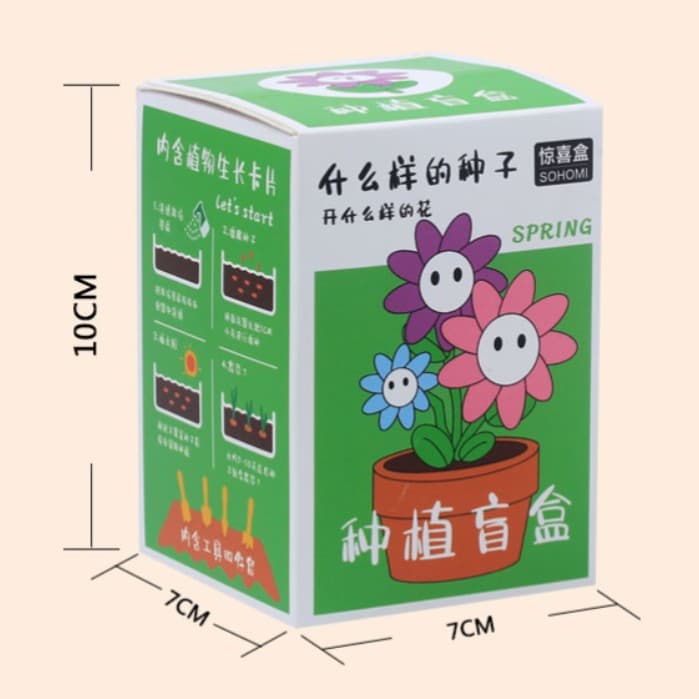 Creative plant blind box small potted children's graduation gift seed flower planting desktop mini plant potted plant 4