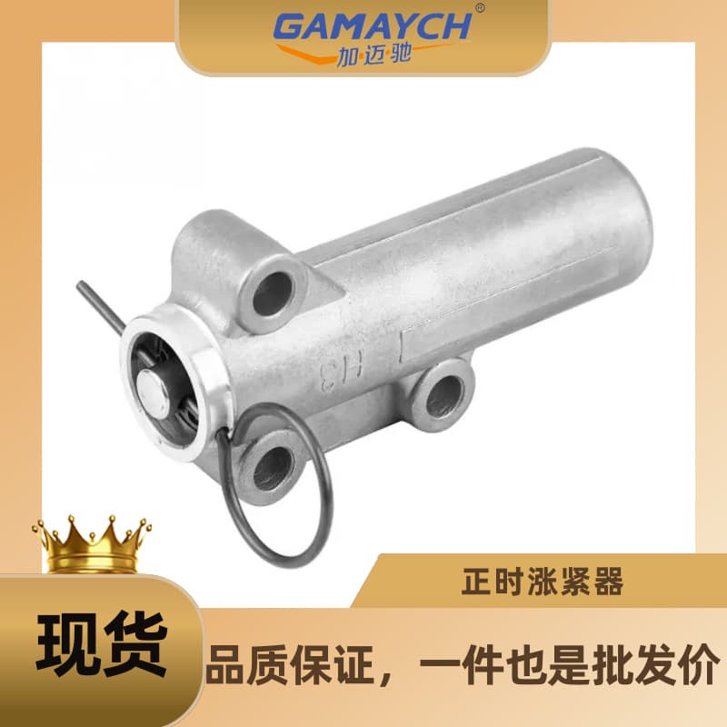 Applicable to Volkswagen/Audi Time Belt Car Engine Parts OE: 06B109477A 1