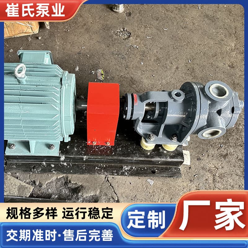 NYP/NCB Internal mesh gear pump high viscosity unsaturated resin industrial food fluid transport pump stainless steel 4