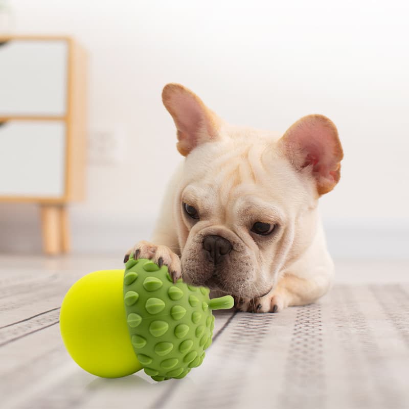 Food play, interactive silicone toy, Amazon, pet, cats and dogs, getting rid of boredom, can bite 5