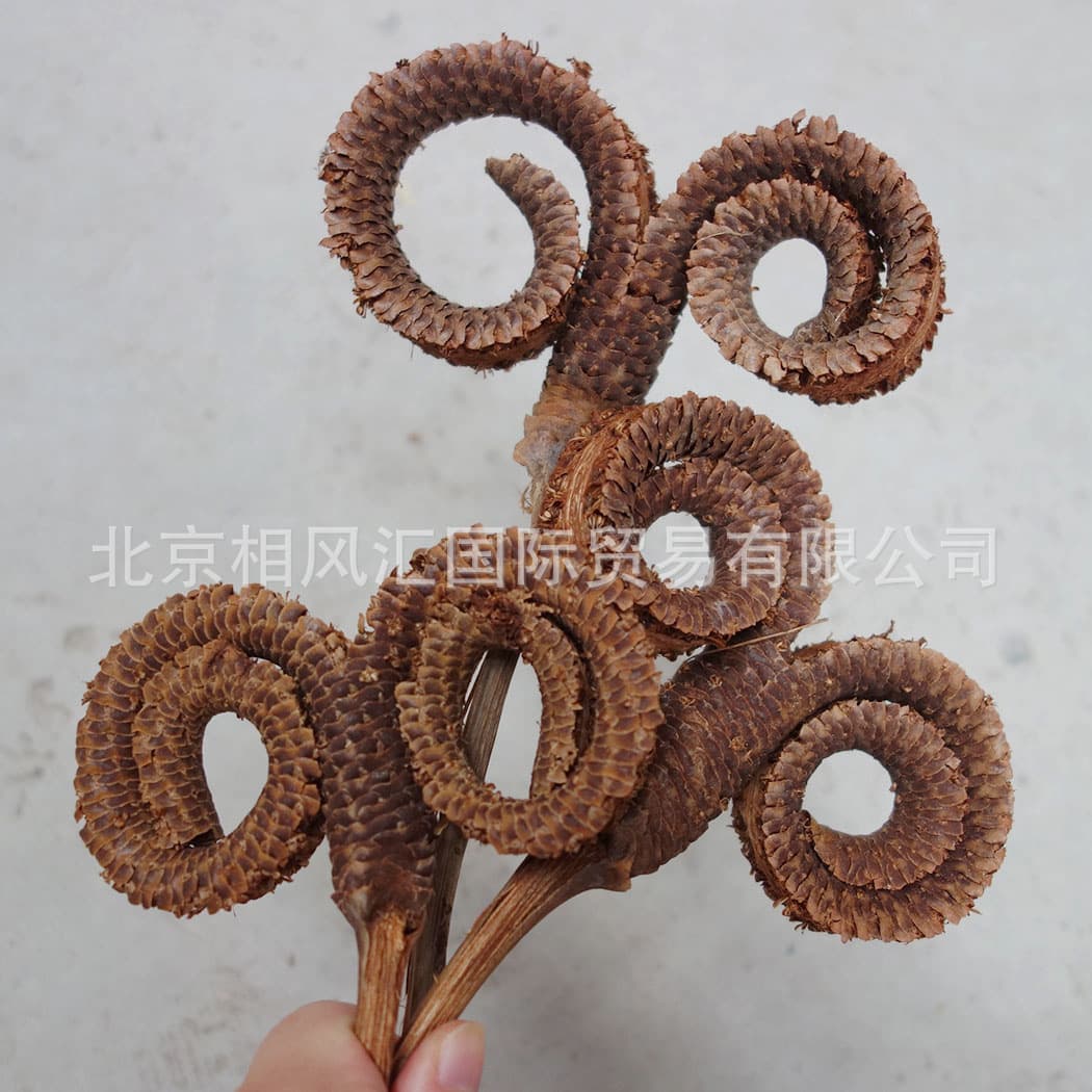 [Corporal Ring] Imported dried fruit and dried flowers decorative flower arrangement natural plant home furnishing gifts 1