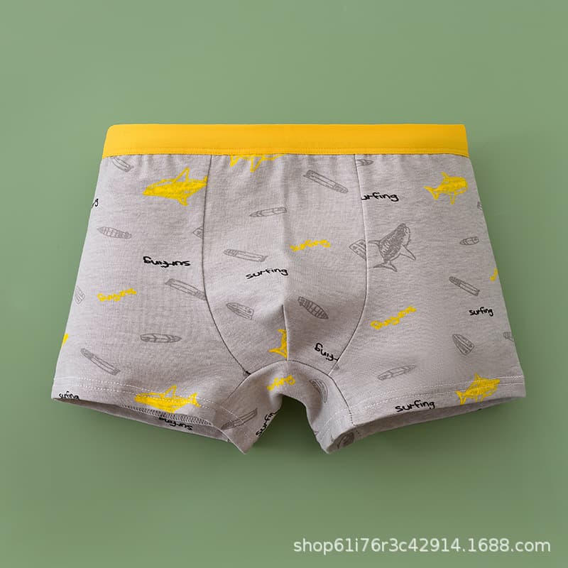 (Cross-border trading), cartoon antibacterial pants for boys, cotton children's underwear for students 4