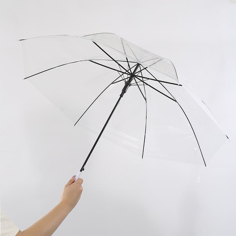 (Wholesale), fresh automatic umbrella for students 2