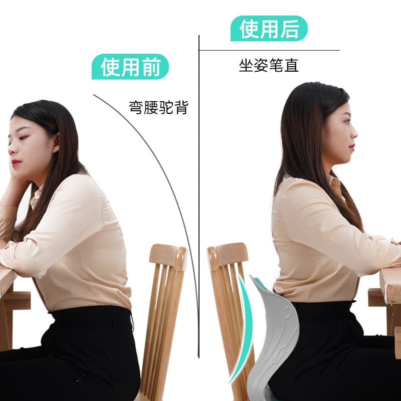 Petal Office Lumbar Support Cushion for Chair 4