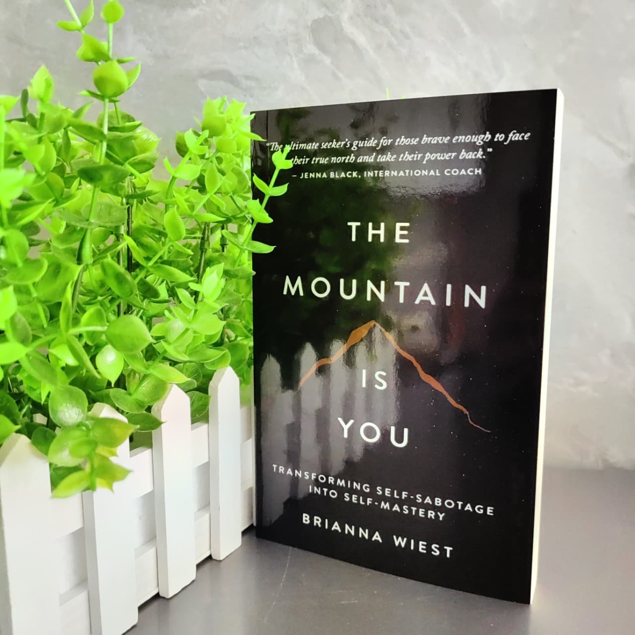 Mountain is your self -transition English version